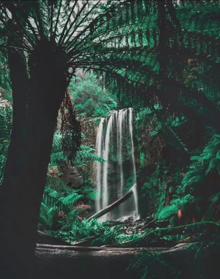 Great Ocean Road Wellness And Nature Stay Apollo Bay Esterno foto