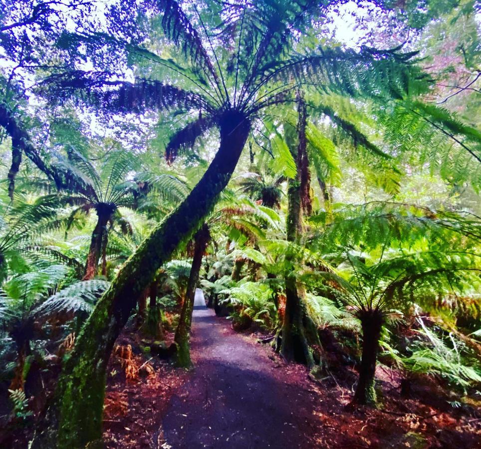 Great Ocean Road Wellness And Nature Stay Apollo Bay Esterno foto