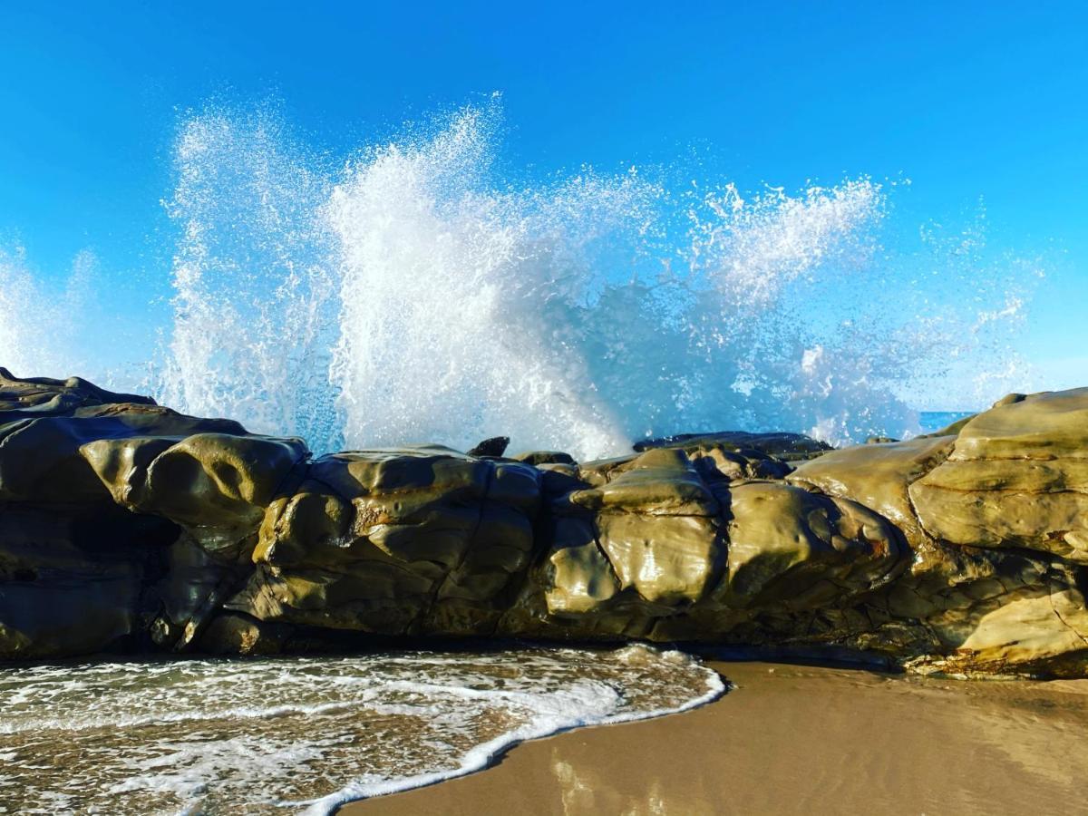 Great Ocean Road Wellness And Nature Stay Apollo Bay Esterno foto