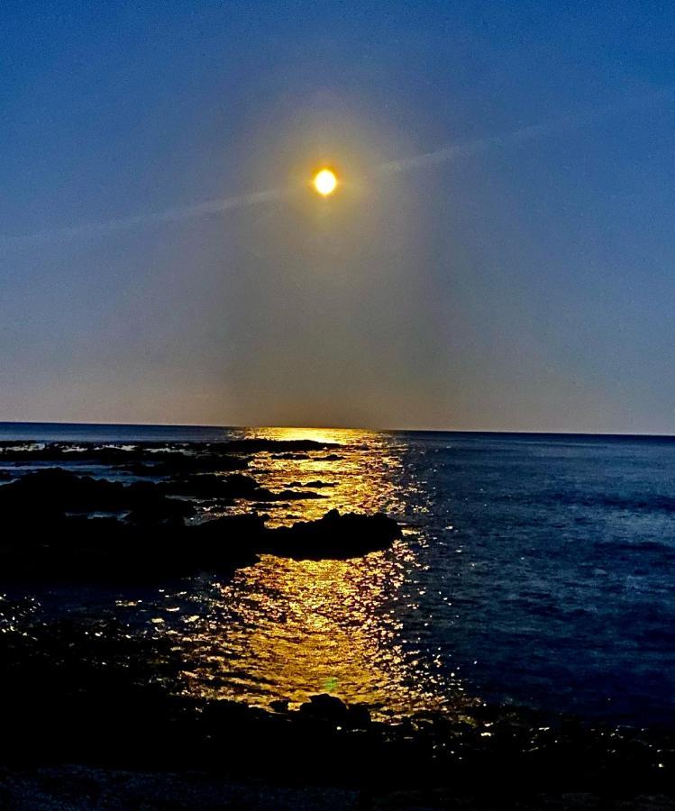Great Ocean Road Wellness And Nature Stay Apollo Bay Esterno foto