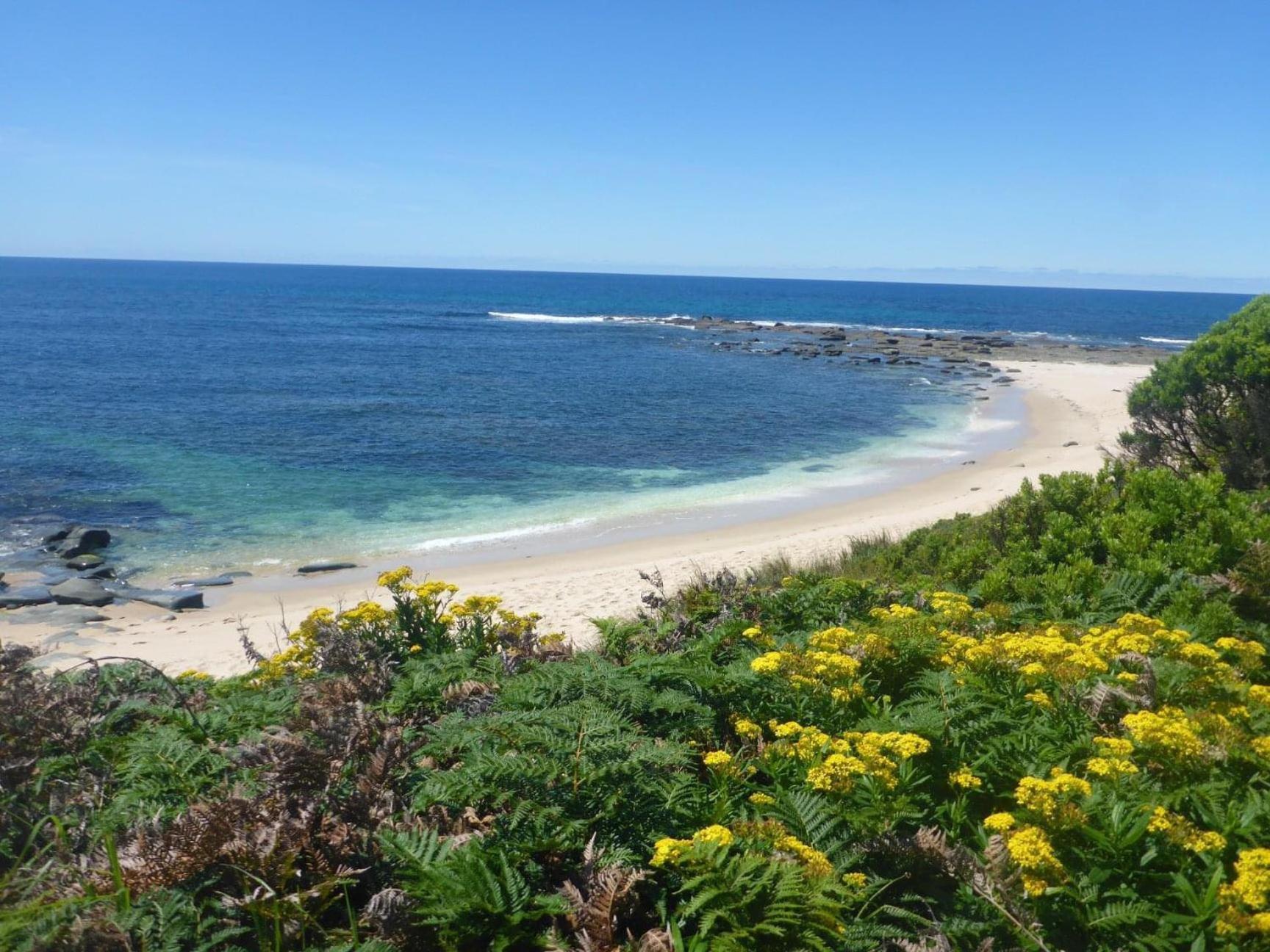 Great Ocean Road Wellness And Nature Stay Apollo Bay Esterno foto