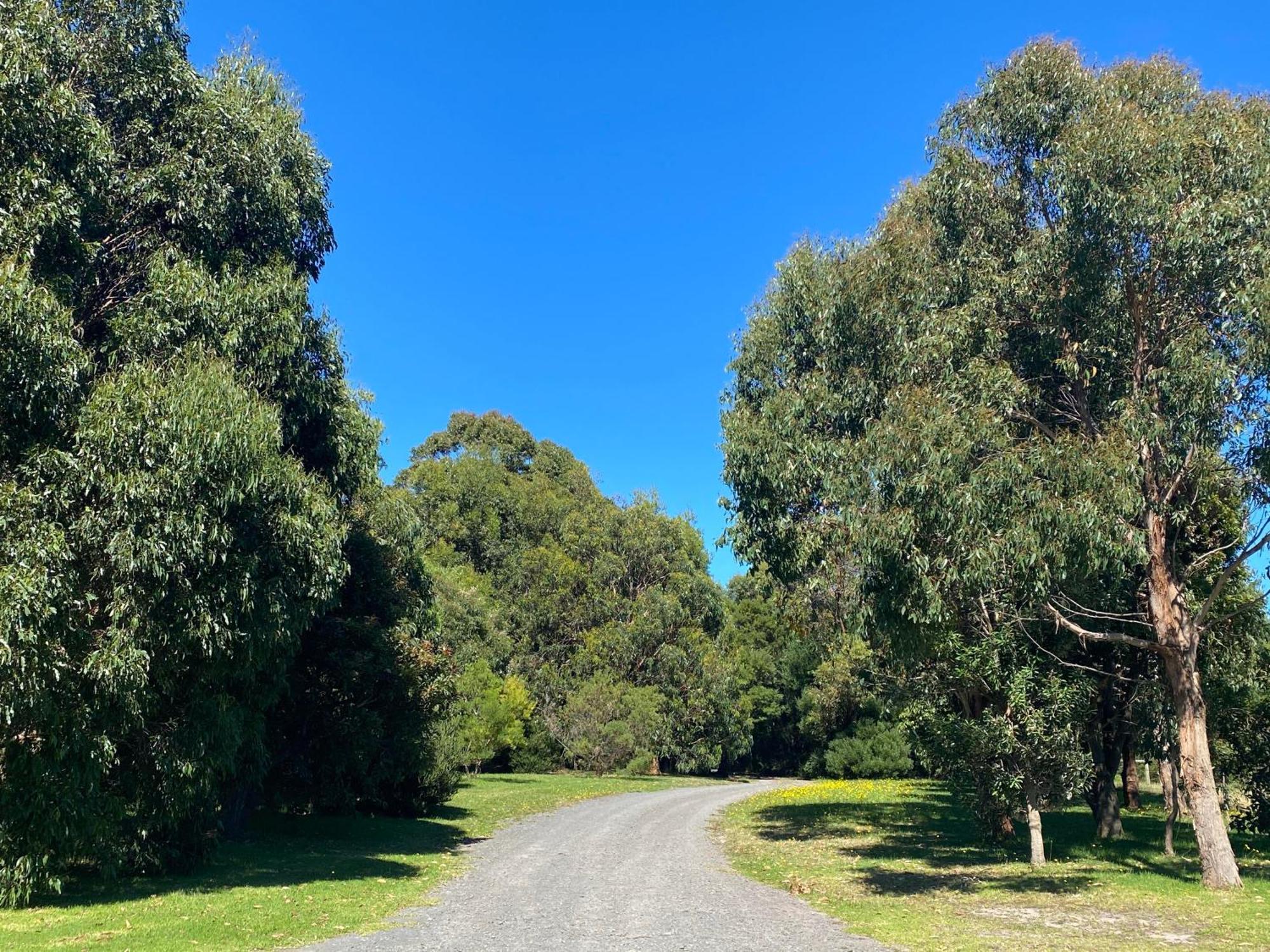 Great Ocean Road Wellness And Nature Stay Apollo Bay Esterno foto