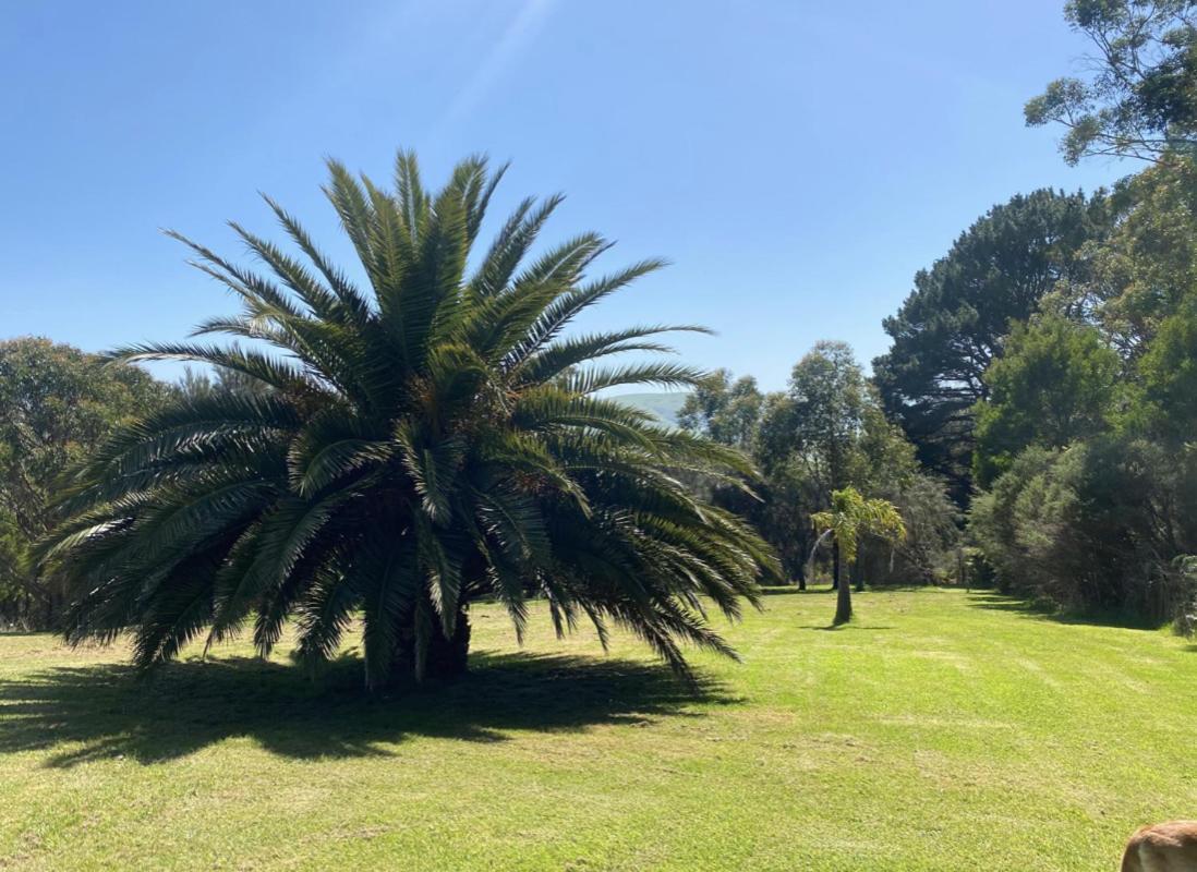 Great Ocean Road Wellness And Nature Stay Apollo Bay Esterno foto